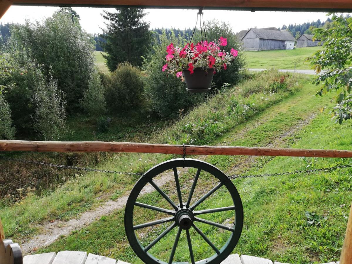 Ferienhaus Friedlhof Langschlag  Luaran gambar