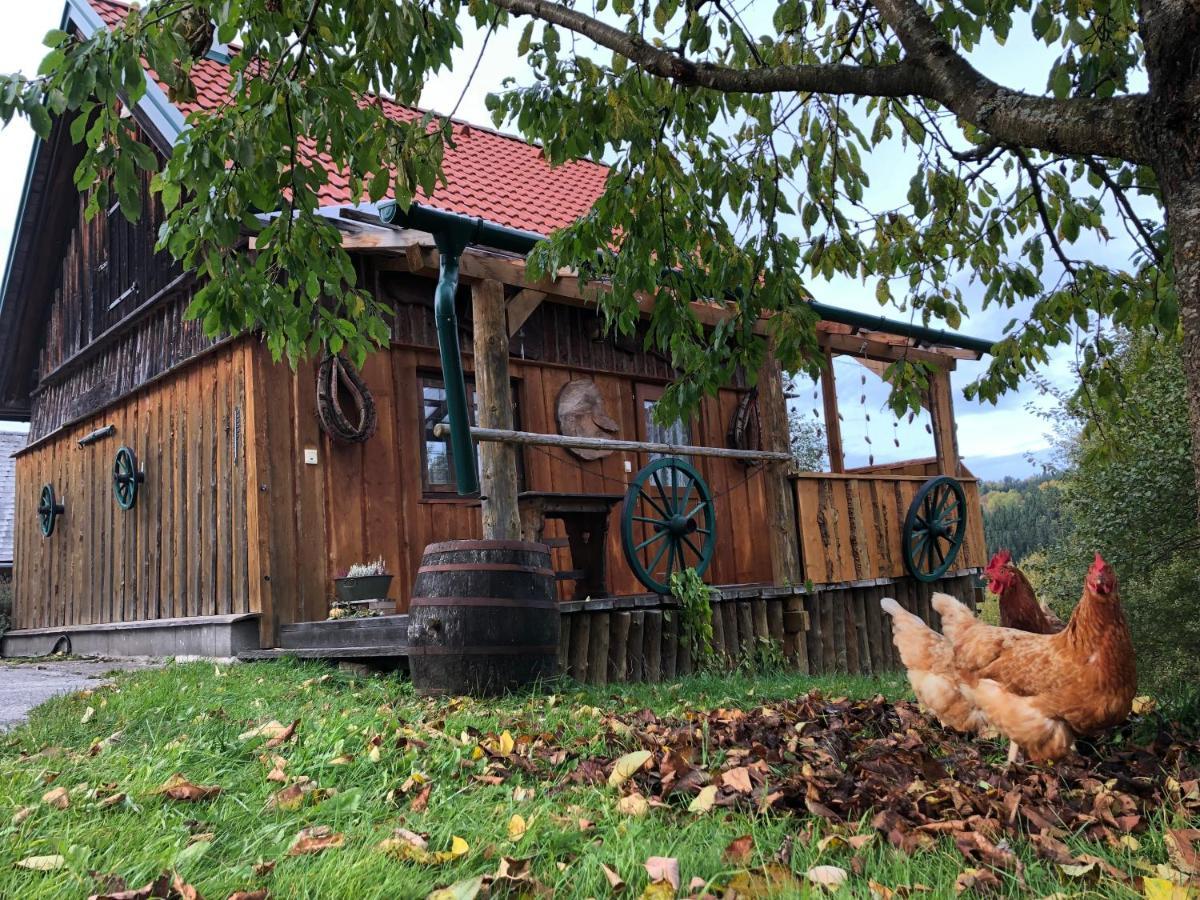 Ferienhaus Friedlhof Langschlag  Luaran gambar